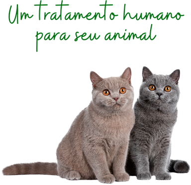 Um tratamento humano para seu animal